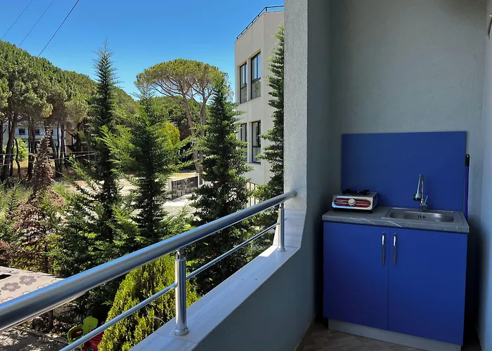 Canary * Golem (Tirana)